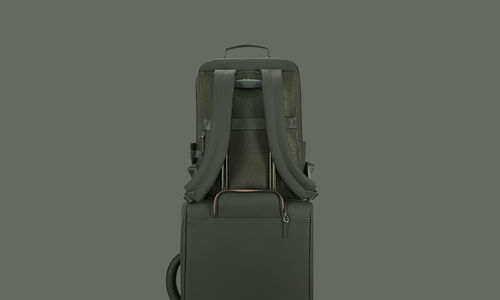Back
