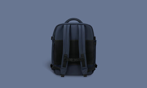Back