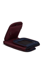 City Plume Pet carrier cats and dogs
