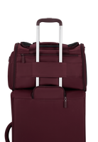 City Plume Pet carrier cats and dogs